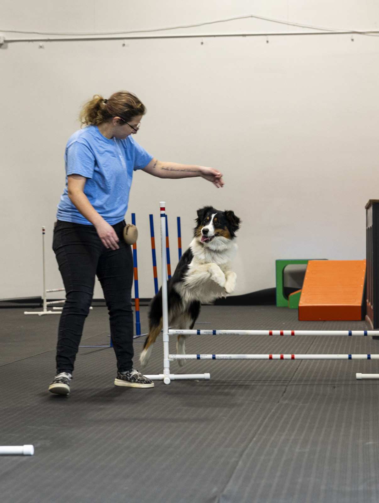 dog with trainers